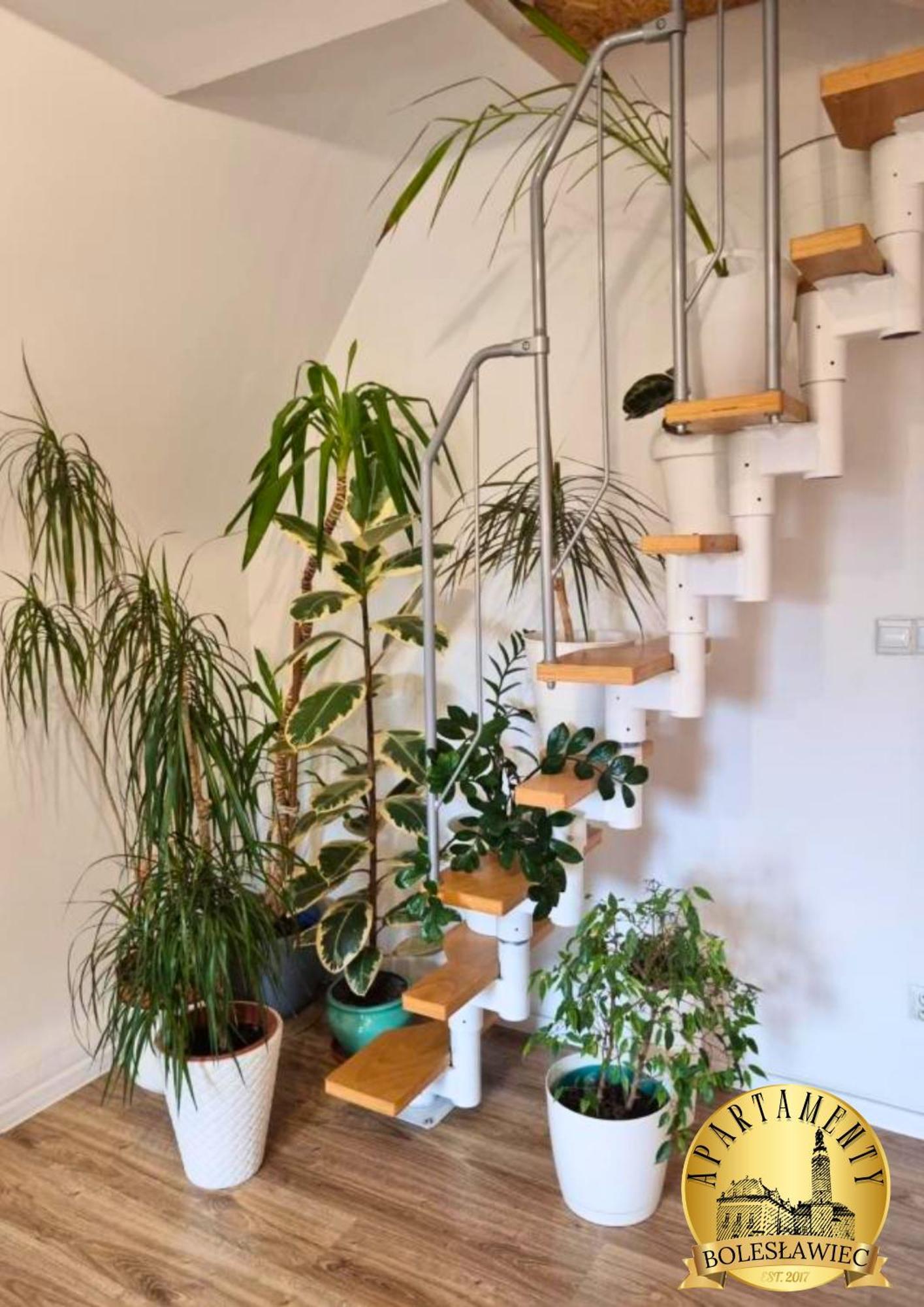 Apartament W Rynku Boleslawiec  Esterno foto